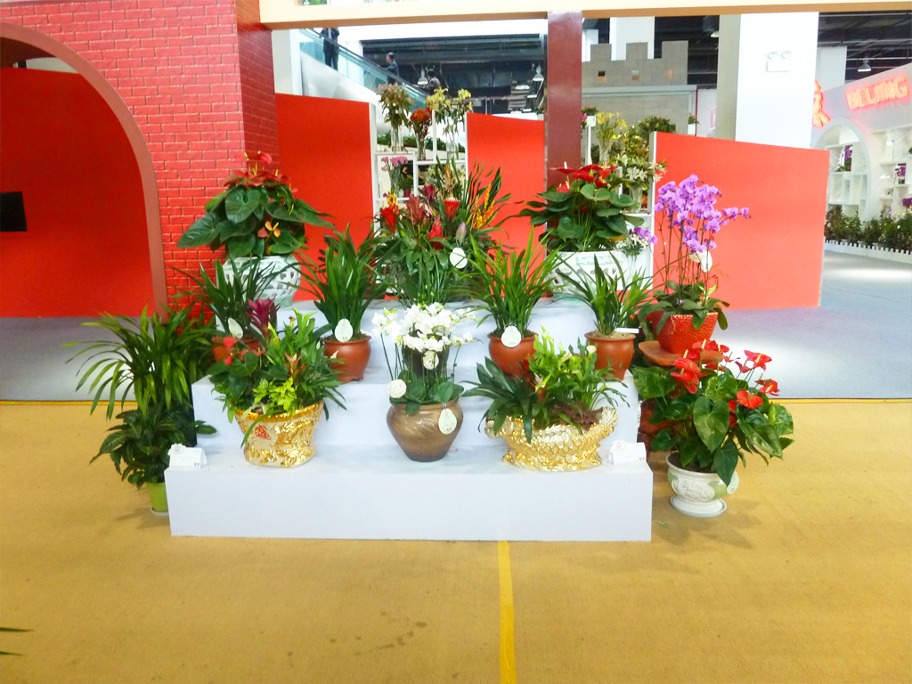 常州花博會(山西園) 室內