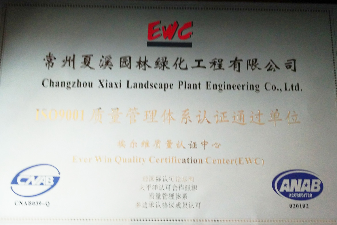 ISO9001質量管理體系認證